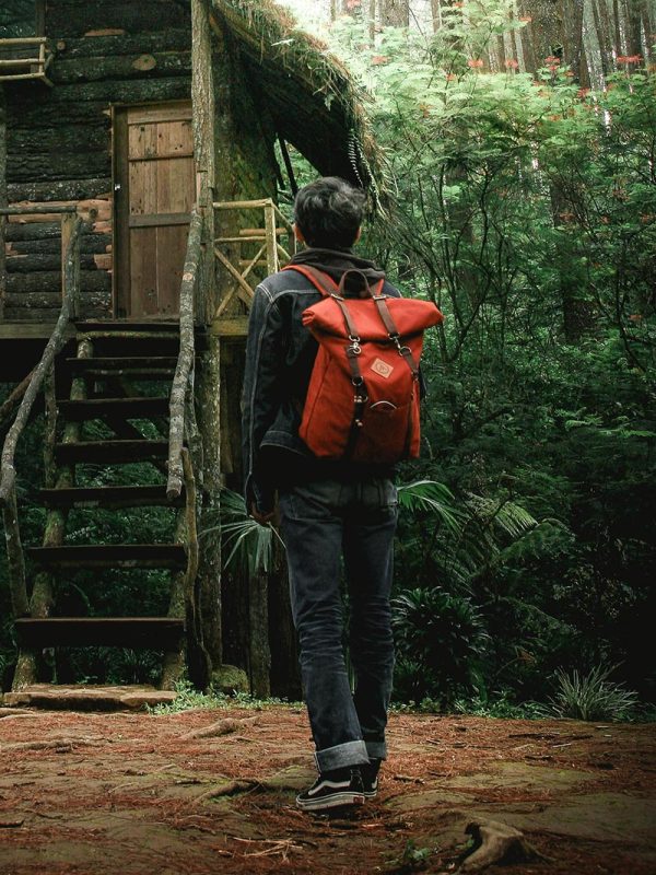 Concentré de tomate