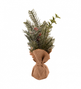 aiguilles-de-pin.png Aiguilles de pin