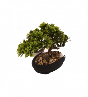 Bonsai