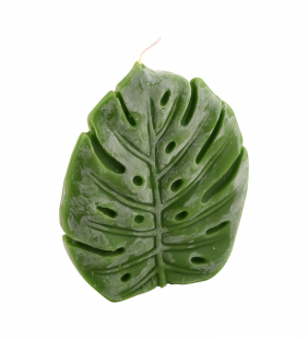 Bougie feuille