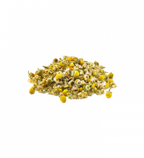 camomille.png Camomille