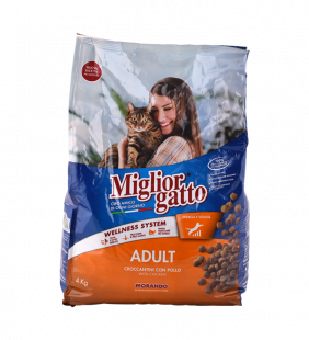 Croquettes pour chat