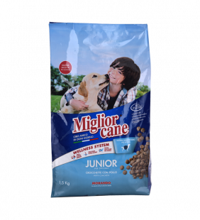 Croquettes pour chien