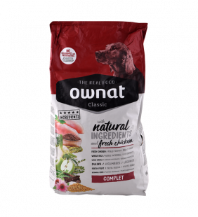 Croquettes pour chien