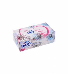 Distributeur de mouchoirs