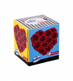 Distributeur de mouchoirs