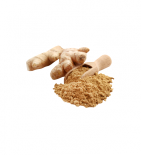 Gingembre moulu