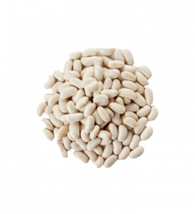 haricot-lingot.png Haricot lingot