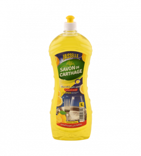 Lave vaisselle mains