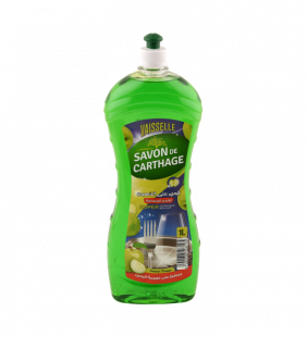 Lave vaisselle mains