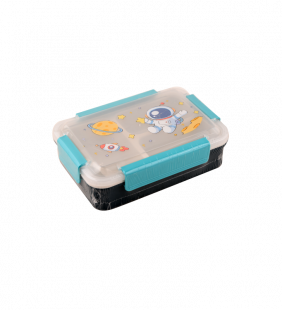 Lunch box multi-compar...