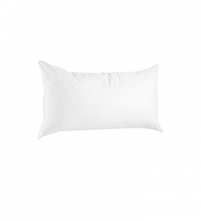 Oreiller anti-allergique