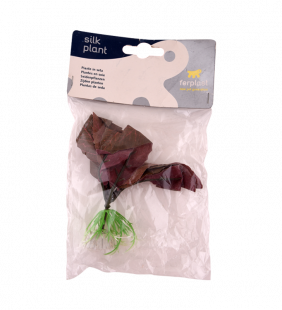 plante-d-aquarium-1.png Plante d'aquarium