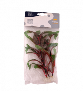 plante-d-aquarium-2.png Plante d'aquarium