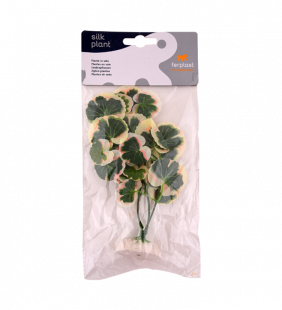 plante-d-aquarium-3.png Plante d'aquarium