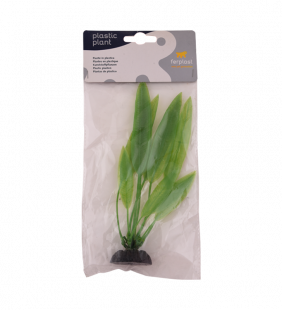 plante-d-aquarium-4.png Plante d'aquarium