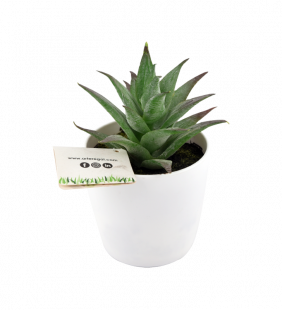 Pot de fleur artificielle