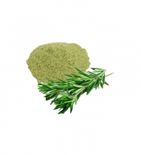 romarin-moulu-4.png Romarin moulu