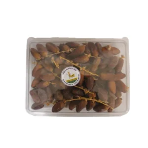 dtn-dattes Dattes Deglet Nour tunisiennes 1 kg (10 TND)